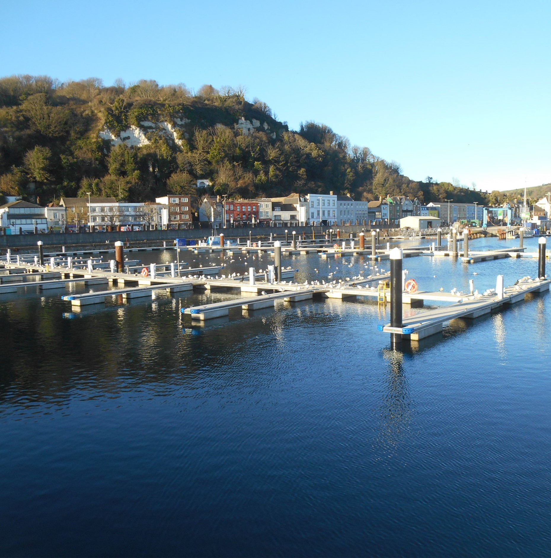 Wellington Dock Pontoon Reconfiguration